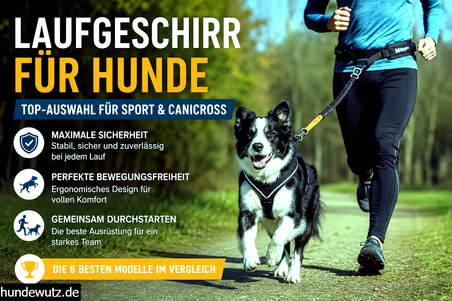 Läufer mit Hund im Laufgeschirr beim Canicross auf einem Waldweg
