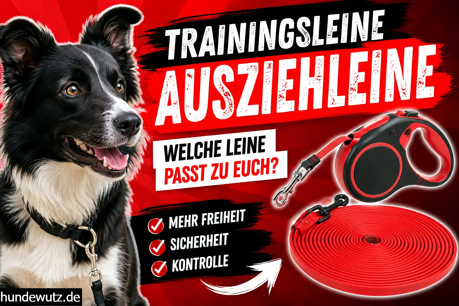 Kontrastreiches Bild mit Hund an Leine: links ein ziehender Hund in roter dynamischer Darstellung, rechts kontrolliertes entspanntes Führen im Alltag mit blauer ruhiger Atmosphäre.